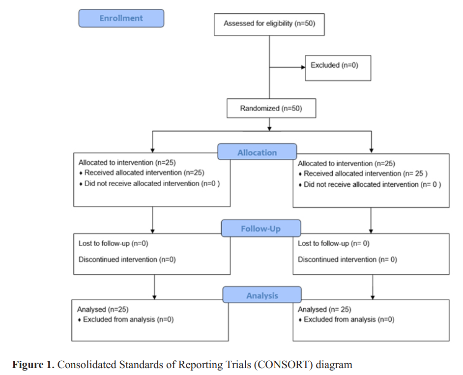 Consolidated Standards of Reporting Trials (CONSORT) diagram