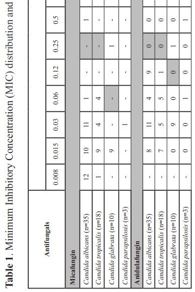 Minimum Inhibitory Concentration (MIC)