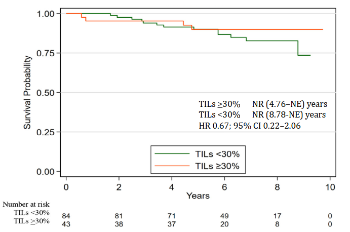Kaplan–Meier curve of overall survival stratified by TIL levels ≥30% vs. <30%. 